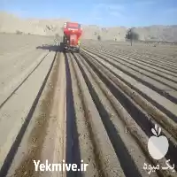فروش ادوات کشاورزی و باغی مهرگان در فارس در گروه خرید و فروش ماشین آلات کشاورزی در یکمیوه