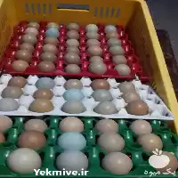 فروش تخم نطفه دار و خوراکی در تهران در گروه انواع تخم ها در یکمیوه