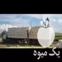 فروش کاه گندم کلش در اصفهان در گروه خوراک دام و طیور در یکمیوه