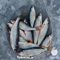 پرورش ماهی فروش ماهی در ارومیه در گروه خرید و فروش انواع ماهی در یکمیوه