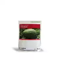 فروش بذر هندوانه آستراخان در تهران در گروه خرید و فروش بذر هندوانه در یکمیوه