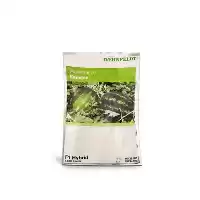 قیمت خرید بذر هندوانه باراکا در گروه خرید و فروش بذر هندوانه در یکمیوه