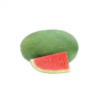 قیمت خرید بذر هندوانه فارائو در تهران در گروه خرید و فروش بذر هندوانه در یکمیوه