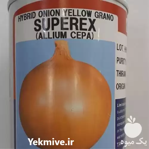 فروش قیمت بذر پیاز تاکی ژاپن در شیراز در گروه خرید و فروش بذر پیاز در یکمیوه -عکس1