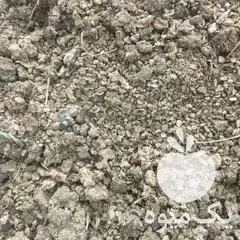 قیمت خرید کود گوسفندی در چالوس در گروه خرید و فروش کود گوسفندی در یکمیوه -عکس1