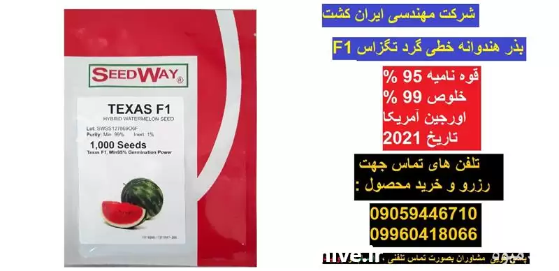 فروش بذر هندوانه خطی در قزوین در گروه خرید و فروش بذر هندوانه در یکمیوه -عکس1