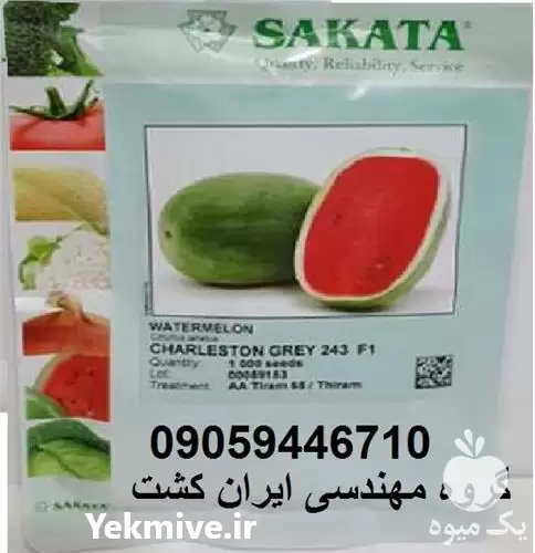 قیمت خرید بذر هندوانه ساکاتا 243 در اهواز در گروه خرید و فروش بذر هندوانه در یکمیوه -عکس1