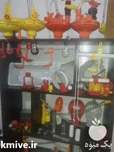 فروش قیمت آبخوری نیپل انواع تجهیزات در تبریز در گروه تجهیزات مرغداری در یکمیوه -عکس1