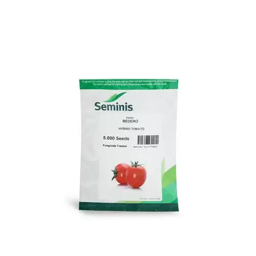 عرضه و فروش بذر گوجه فرنگی در گروه خرید و فروش بذر گوجه در یکمیوه -عکس1