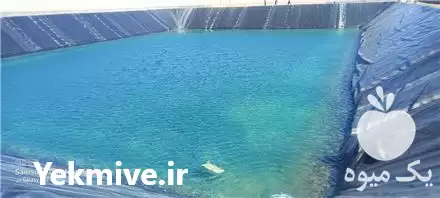 فروش نصب ورق ذخیره آب از عرض در گروه خرید و فروش ژئوممبران و ژئوتکستایل در یکمیوه -عکس1