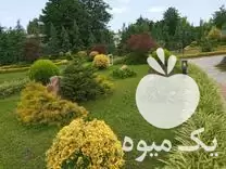 اجرای فضای سبز در ساری در گروه سازنده در یکمیوه -عکس1