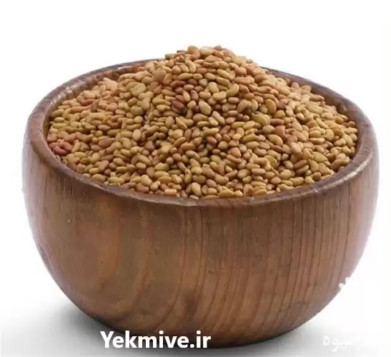 فروش بذر یونجه در مشهد در گروه خرید و فروش بذر یونجه در یکمیوه -عکس1