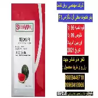 فروش بذر هندوانه خطی در قزوین در گروه خرید و فروش بذر هندوانه در یکمیوه