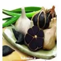 قیمت خرید پخش سیر سیاه در بوشهر در گروه خرید و فروش سیر در یکمیوه