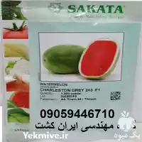 قیمت خرید بذر هندوانه ساکاتا 243 در اهواز در گروه خرید و فروش بذر هندوانه در یکمیوه