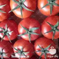 آگهی مشابه فروش بذر گوجه پاترسون الماس سید در تهران در گروه خرید و فروش بذر گوجه در یکمیوه