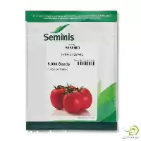 آگهی مشابه قیمت خرید بذر گوجه 4129 در تهران در گروه خرید و فروش بذر گوجه در یکمیوه