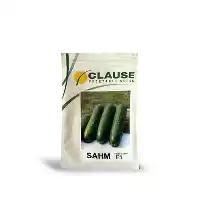 فروش بذر خیار کلوز با برترین در گروه خرید و فروش بذر خیار در یکمیوه