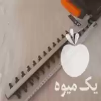 قیمت خرید شمشادزن برقی 500 و ات در گروه خرید و فروش شمشاد زن در یکمیوه