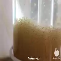 فروش ویژه انواع ماهی کوی صادراتی در مشهد در گروه خرید و فروش ماهی کوی در یکمیوه