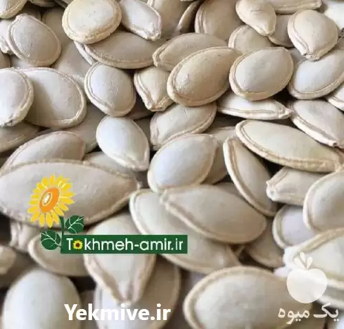 قیمت خرید بذرکدو گوشتی شهرستان خوی در اصفهان در گروه خرید و فروش بذر کدو در یکمیوه -عکس1