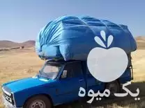 فروش کاه دیمی تحویل درب منزل در میاندوآب در گروه خوراک دام و طیور در یکمیوه -عکس1