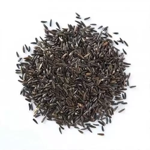 فروش بذر گیاه دارویی دان سیاه در گروه خرید و فروش گیاهان دارویی در یکمیوه -عکس1