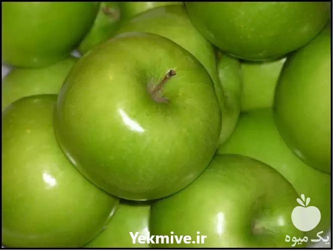 قیمت خرید ارائه نهال سیب سبز در ساری در گروه خرید و فروش نهال میوه در یکمیوه -عکس1