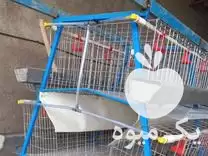 فروش قفس مرغ تخمگذار در اردبیل در گروه تجهیزات مرغداری در یکمیوه -عکس1