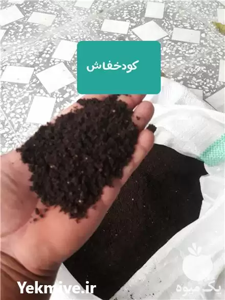 فروش کود خفاش مرغوب در ساری در گروه خرید و فروش کود خفاش در یکمیوه -عکس1
