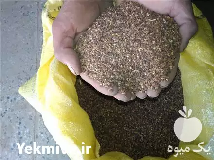 فروش مستقیم کنجد در مشهد در گروه خرید و فروش دانه های روغنی در یکمیوه -عکس1