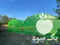 طراحی و ساخت گلخانه در گروه سازنده در یکمیوه -عکس1