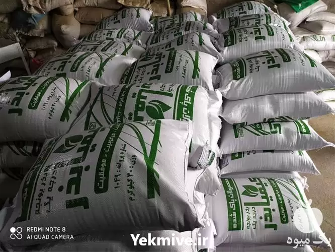 قیمت خرید یونجه در خرم‌ آباد در گروه خرید و فروش بذر یونجه در یکمیوه -عکس1