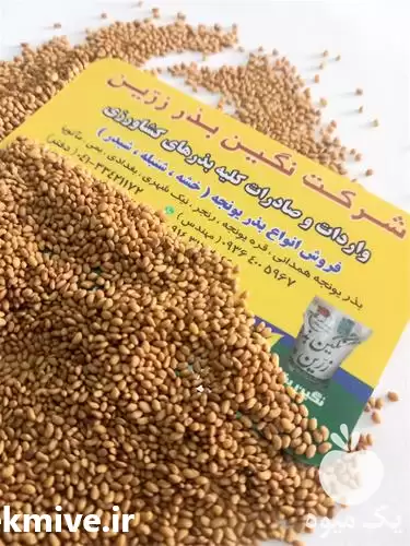 قیمت فروش بذر یونجه در اهواز در گروه خرید و فروش بذر یونجه در یکمیوه -عکس1