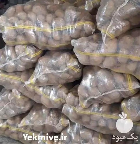 قیمت خرید عمده سیب زمینی در اردبیل در گروه خرید و فروش سیب زمینی در یکمیوه -عکس1