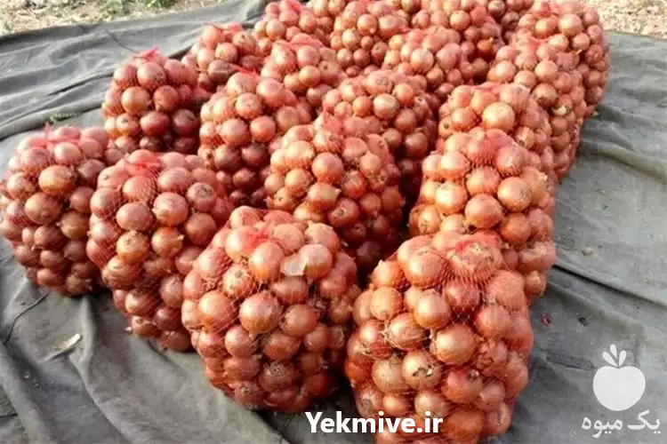 پیاز طلایی و پیاز زرد در اصفهان در گروه خرید و فروش پیاز در یکمیوه -عکس1