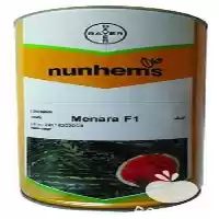 قیمت خرید قیمت بذر هندوانه منارا در تهران در گروه خرید و فروش بذر هندوانه در یکمیوه