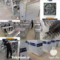 قیمت خرید تولید لوازم مرغداری دامداری در گروه تجهیزات مرغداری در یکمیوه