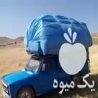 فروش کاه دیمی تحویل درب منزل در میاندوآب در گروه خوراک دام و طیور در یکمیوه