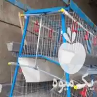 فروش قفس مرغ تخمگذار در اردبیل در گروه تجهیزات مرغداری در یکمیوه