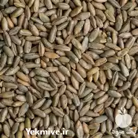 قیمت خرید چاودار در کرج در گروه خرید و فروش گندم و جو در یکمیوه