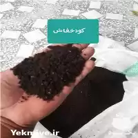 فروش کود خفاش مرغوب در ساری در گروه خرید و فروش کود خفاش در یکمیوه