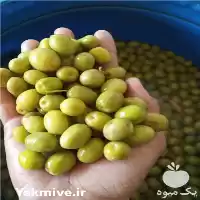 زیتون پرورده فروش زیتون در تهران در گروه خرید و فروش زیتون در یکمیوه