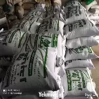 قیمت خرید یونجه در خرم‌ آباد در گروه خرید و فروش بذر یونجه در یکمیوه