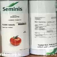 قیمت خرید بذر گوجه فرنگی بریویو در گروه خرید و فروش بذر گوجه در یکمیوه