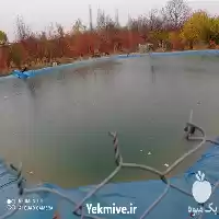 بزرگترین گروه فروش و اجرا در شمال در تبریز در گروه خرید و فروش ژئوممبران و ژئوتکستایل در یکمیوه