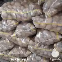 قیمت خرید عمده سیب زمینی در اردبیل در گروه خرید و فروش سیب زمینی در یکمیوه