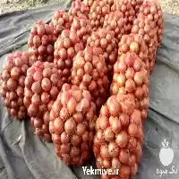 پیاز طلایی و پیاز زرد در اصفهان در گروه خرید و فروش پیاز در یکمیوه