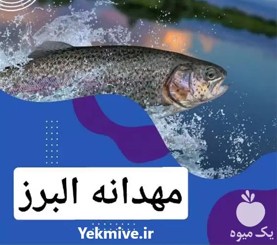 فروش غذای ماهی آنالیز خوراک اکسترود در گروه خوراک شیلات و آبزیان در یکمیوه -عکس1