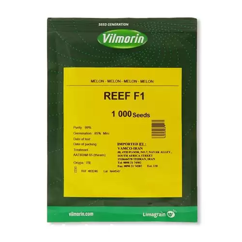 فروش عرضه بذر خربزه گالیا ریف در گروه خرید و فروش بذر خربزه در یکمیوه -عکس1